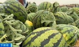 热点吃瓜,吃瓜群众如何解读明星事件